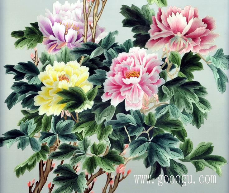 富貴牡丹花細節(jié)特寫圖、顏色過渡協(xié)調!